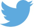Twitter small icon